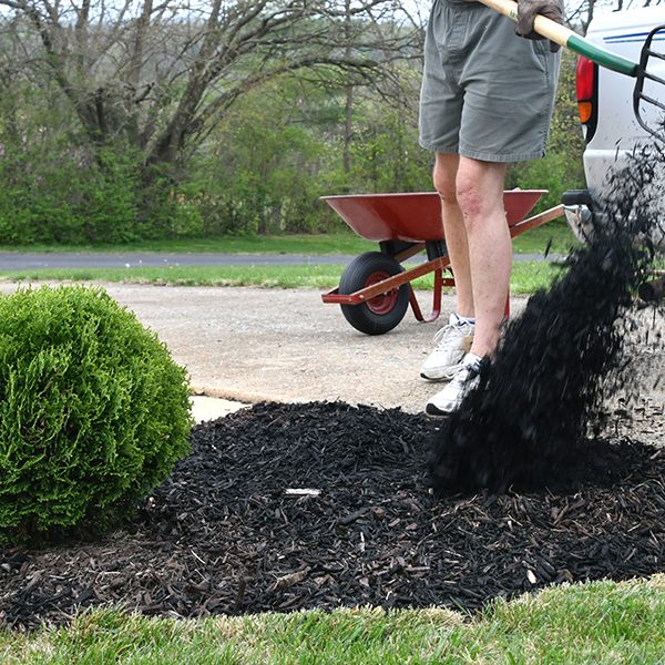 mulching-